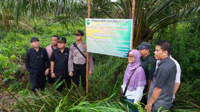 PN Lubuklinggau Sita Eksekusi Lahan Perkebunan Kelapa Sawit Kumparan