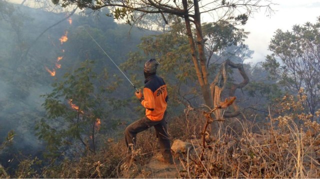 Kebakaran Hutan Gunung Ciremai Meluas Hingga 300 Hektare Kumparan