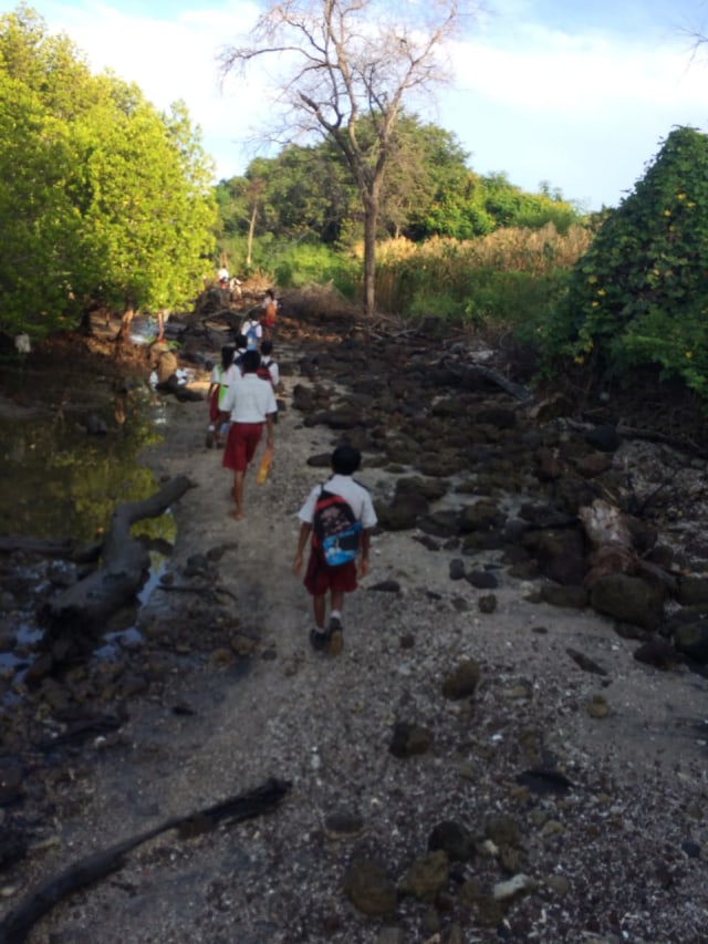 Siswa SD Di NTT Jalan Kaki 3 Km Lewati Tebing Dan Pesisir Demi Sekolah