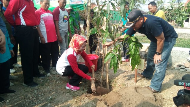 Cegah Banjir 500 Pohon Ditanam Di Sepanjang Sungai Sigeleng Brebes