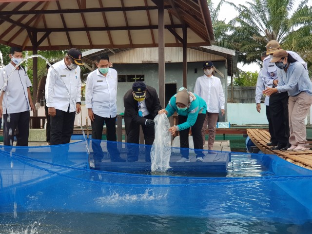 Manfaatkan Embung Bupati Dorong Kemitraan Budidaya Ikan Kumparan