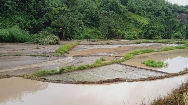 Banjir Dan Tanah Longsor Rusak Ratusan Hektare Lahan Pertanian Di