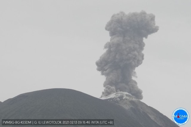 Erupsi Gunung Ile Lewotolok Masih Berlanjut Tinggi Kolom Abu Capai