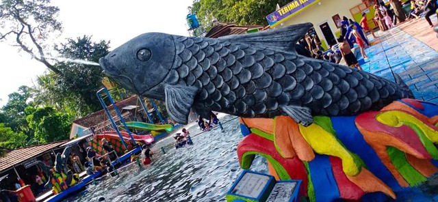 Sensasi Berenang Bersama Ikan Keramat Di Cibulan Kuningan Jawa Barat