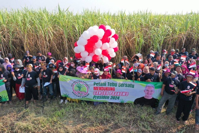 Harap Tak Ada Impor Gula Para Petani Tebu Majalengka Minta Ganjar Jadi