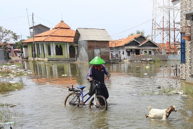 Foto Kawasan Pesisir Indramayu Terendam Banjir Rob Kumparan