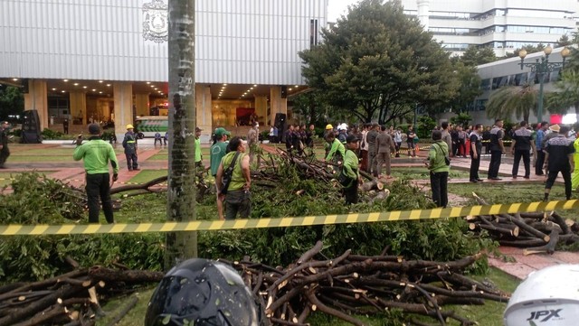 Waspada Cuaca Ekstrem Jakarta Pohon Tumbang Dalam Sepekan