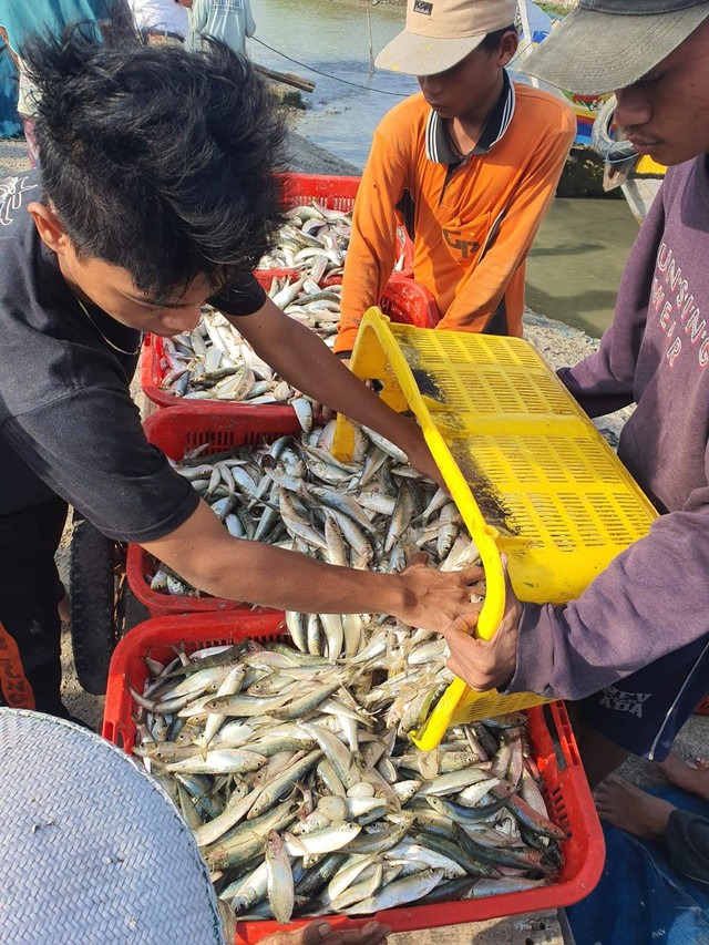 Memahami Kuota Penangkapan Ikan Kumparan