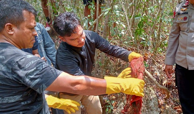 Geger Warga Temukan Kerangka Manusia Di Hutan Buton Tengah Diduga