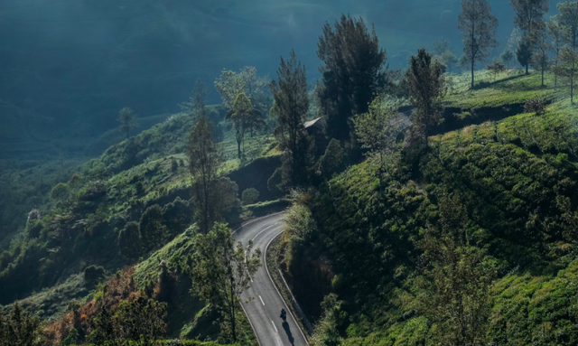 Tempat Makan Di Dago Atas View Bagus Yang Memukau Kumparan