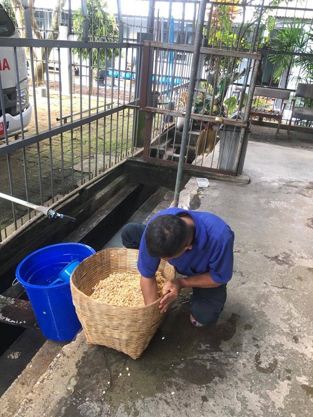 Inovasi Balik Jeruji Narapidana Lapas Magelang Berhasil Membuat Tempe