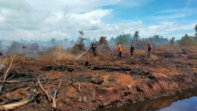 20 Hektare Lahan Gambut Di Nagan Raya Terbakar Api Masih Belum Padam