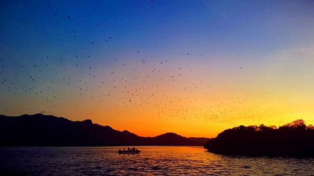 Melihat Kelelawar Dan Menikmati Keindahan Sunset Di Pulau Kalong