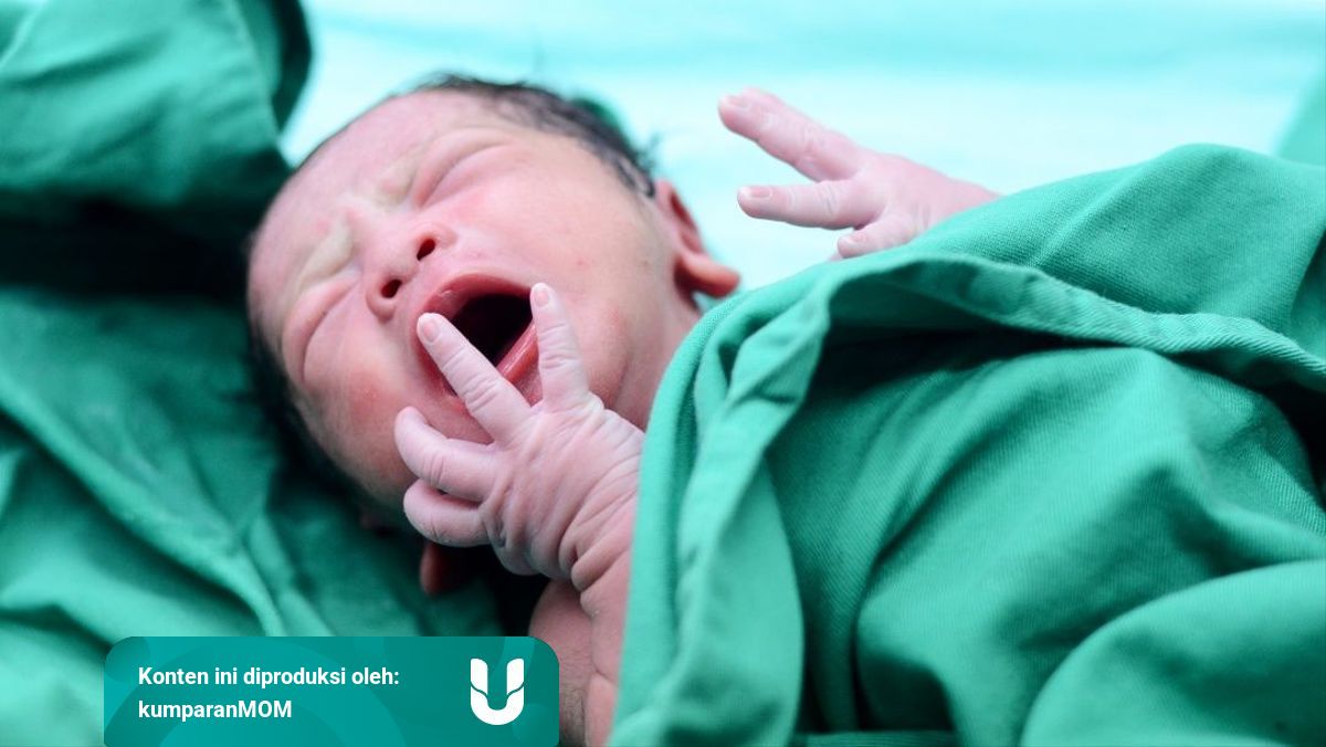 9 Tahapan Alami Pada Bayi Setelah Lahir Kumparan Com
