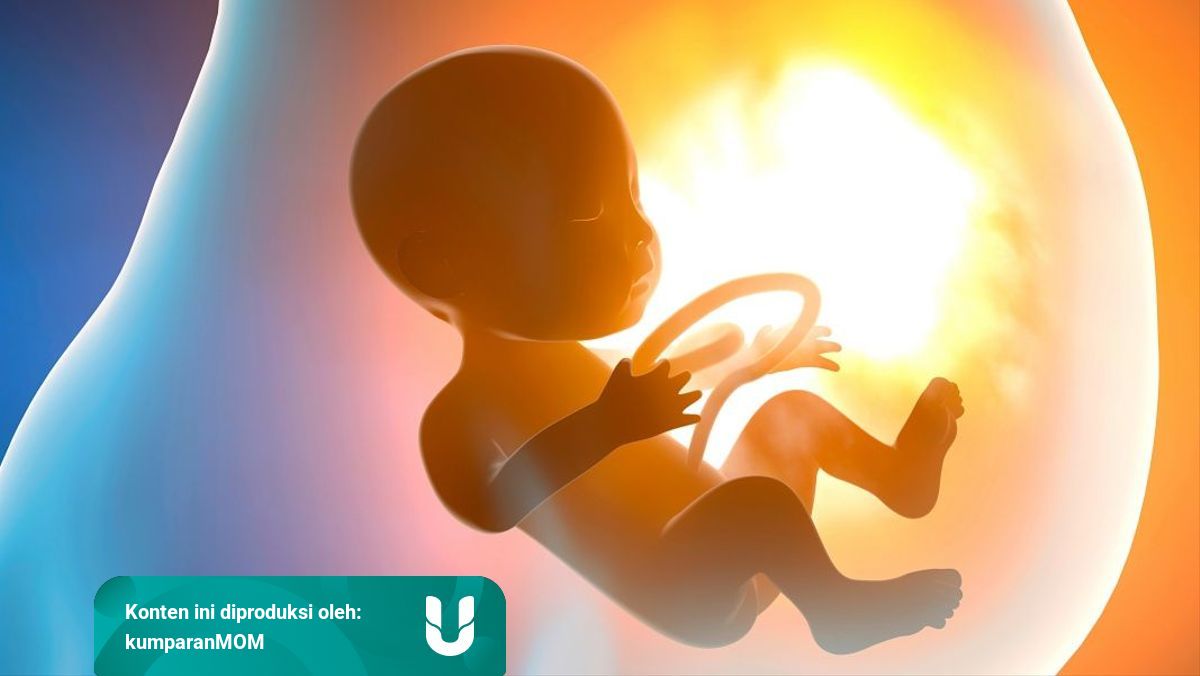 Apakah Janin Kentut Di Dalam Kandungan Kumparan Apakah Janin Kentut Di Dalam Kandungan Kumparan