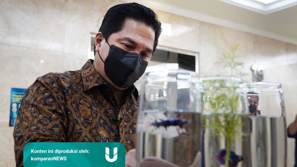 Erick Thohir Dinilai Harus Punya 4 Kriteria Ini Jika Mau Jadi Capres 2024 Kumparan Com<script async src=