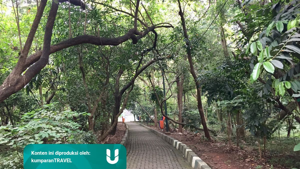 Siang hari itu suasana di hutan sangat terik