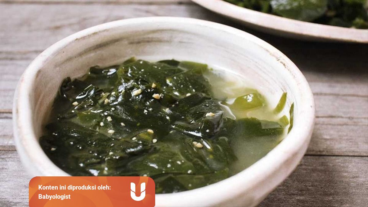 Sup Rumput Laut Sebagai Pelancar Asi Kumparan  Sup Rumput Laut Sebagai Pelancar Asi Kumparan