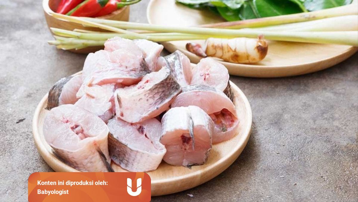 Ternyata Ikan Gabus Baik Untuk Ibu Hamil Benarkah Kumparan 
