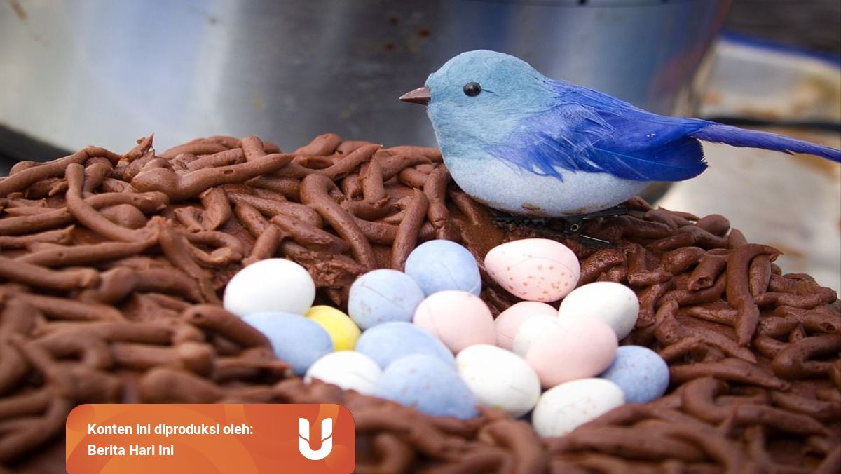 Apa Yang Dimaksud Dengan Ovipar Beserta Contoh Hewan Kumparan Com