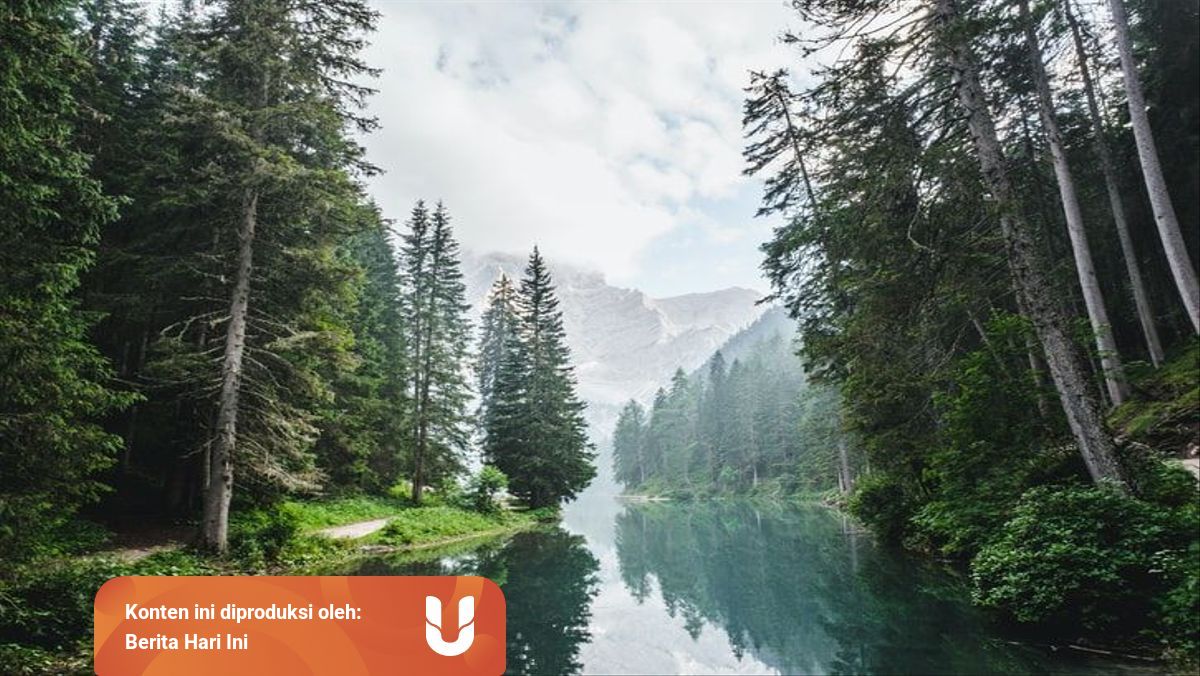 Contoh Interaksi Manusia Dengan Lingkungan Alam Secara Positif Kumparan Com