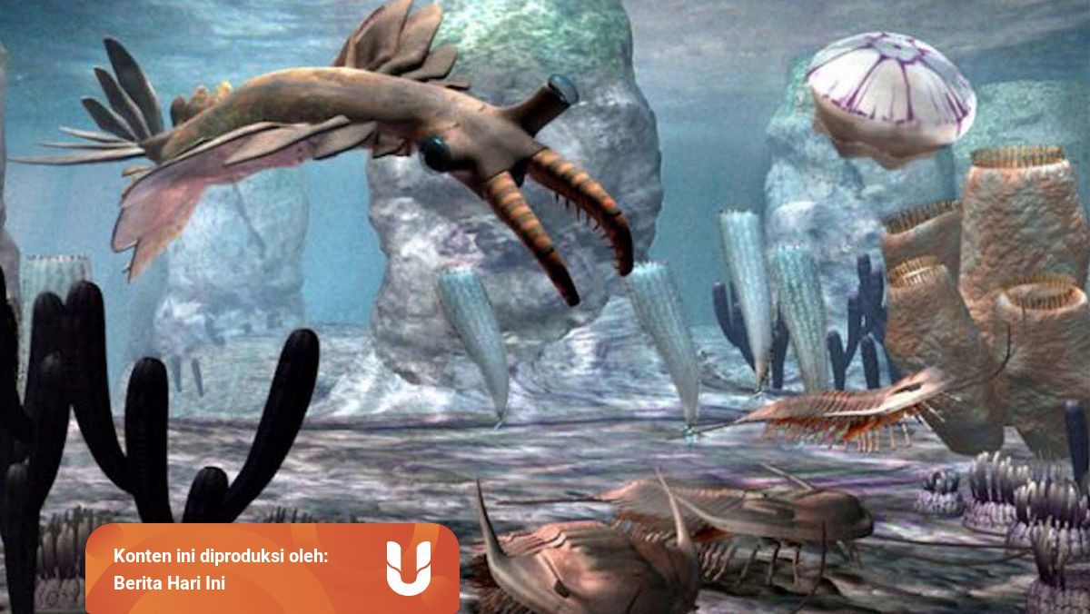 Zaman Paleozoikum Pengertian Ciri Ciri Dan Pembagian Zamannya Kumparan Com