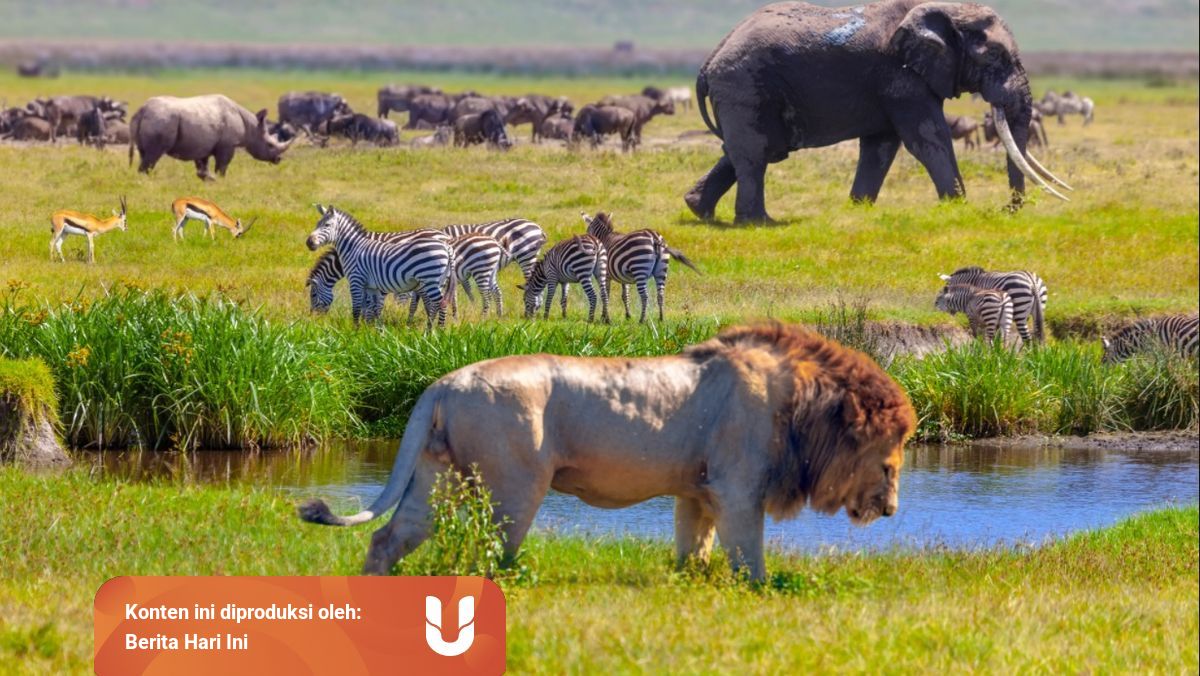 Pengertian Keanekaragaman Hayati Dan Tingkatannya Kumparan Com