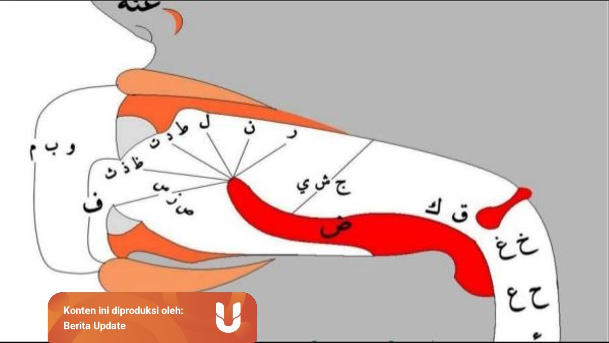 Arti Dan Jenis Jenis Makhorijul Huruf Hijaiyah Yang Perlu Diketahui Kumparan Com Arti Dan Jenis Jenis Makhorijul Huruf Hijaiyah Yang Perlu Diketahui Kumparan Com