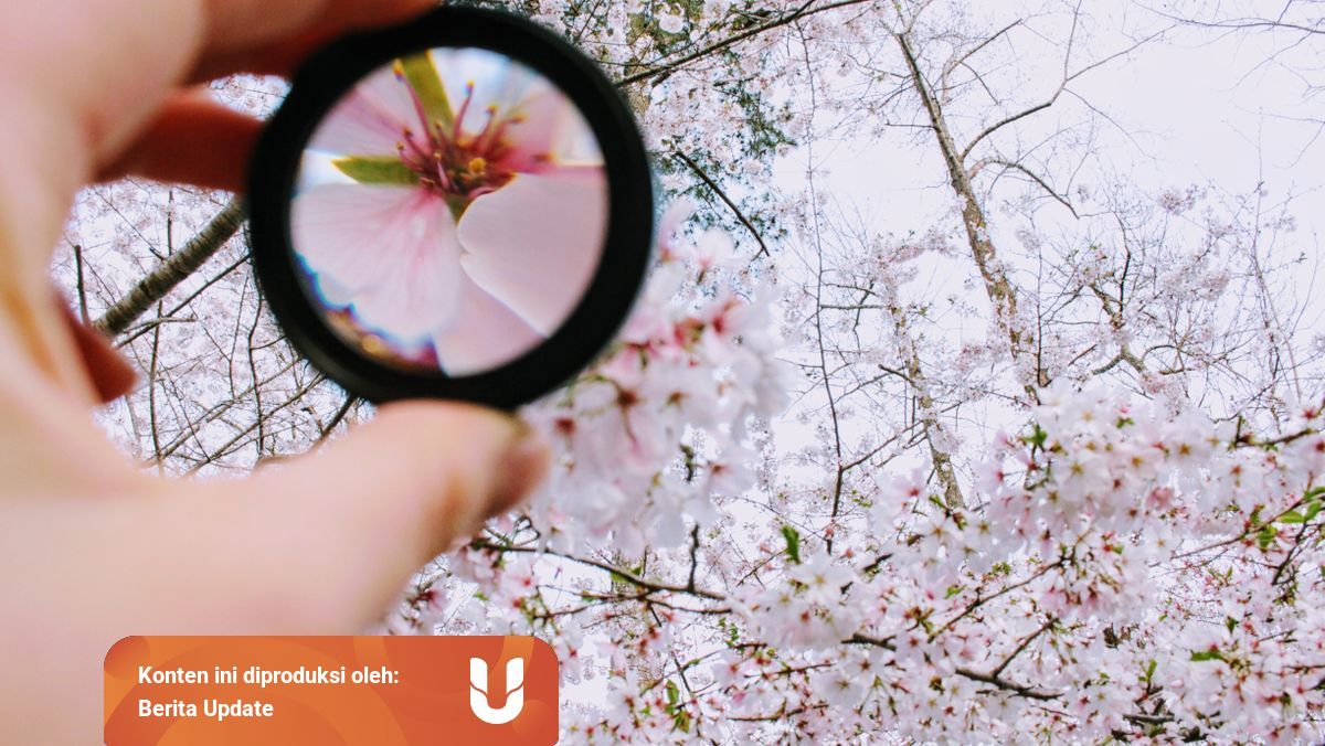 Cara Membuat Lup Sederhana Dan Mudah Untuk Ujian Praktik Sd Kumparan Com