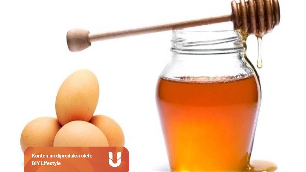 Wajah Kencang Dengan Diy Masker Putih Telur Dan Madu Kumparan Wajah Kencang Dengan Diy Masker Putih Telur Dan Madu Kumparan