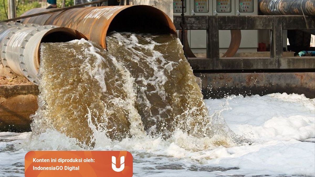 Jenis Jenis Limbah Pertanian Dan Cara Pengelolaannya Kumparan Com