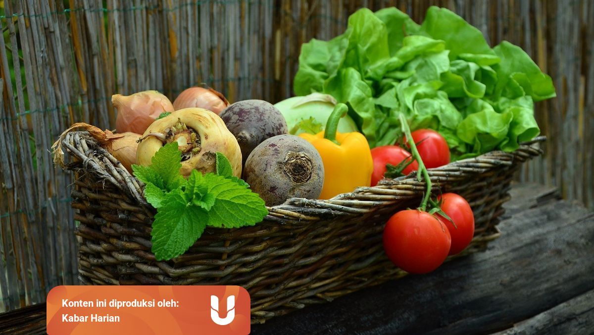 Tiga Unsur Dalam Susunan Makanan Yang Sehat Kumparan Com<script async src=
