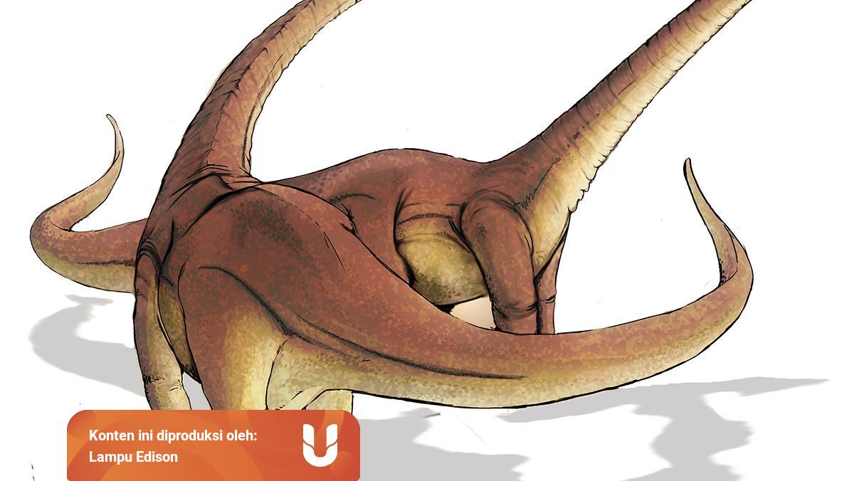 9 Kemiripan Antara Burung Dan Dinosaurus Kumparan Com