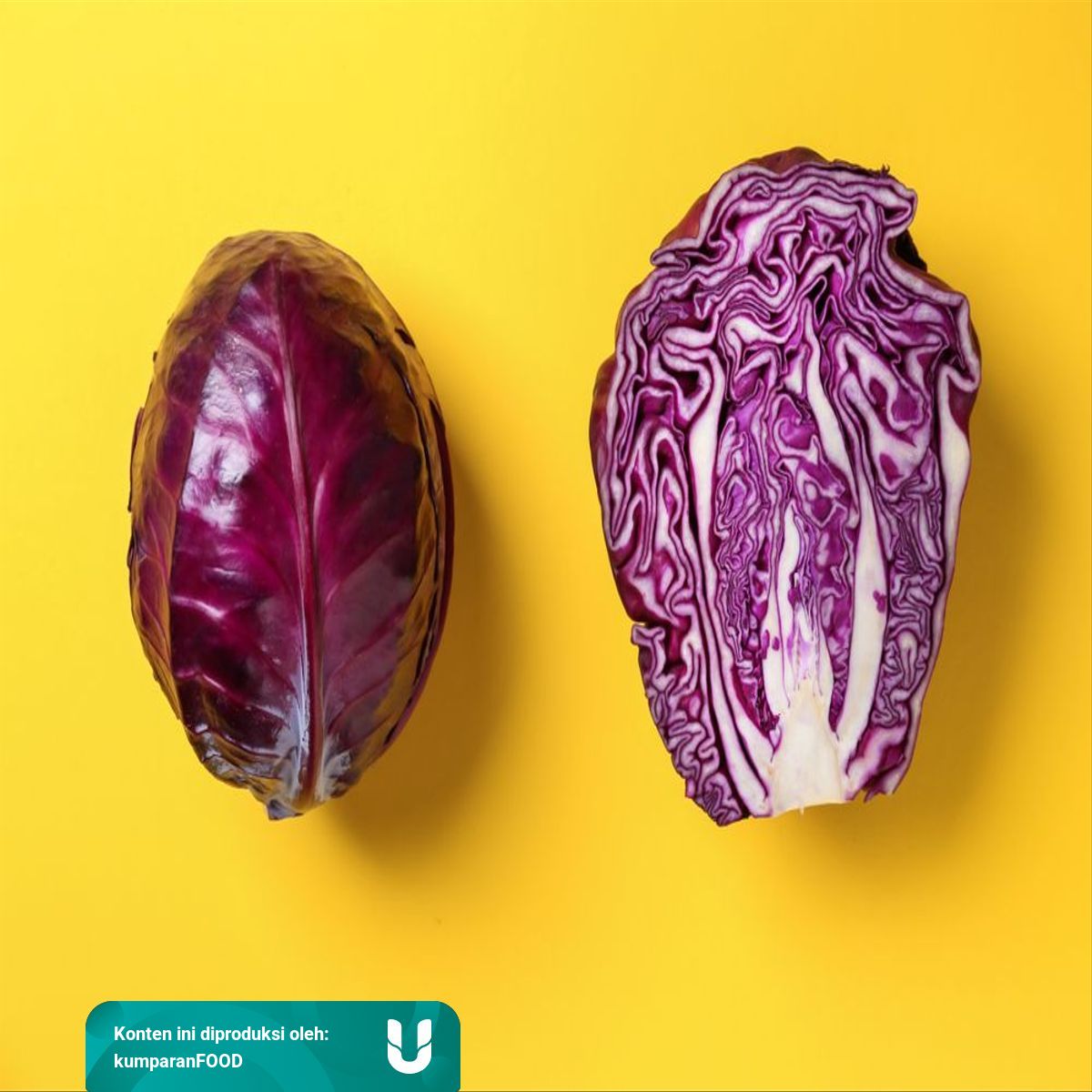 Mengenal Macam Macam Sayur Kol Dan Manfaatnya Kumparan Com