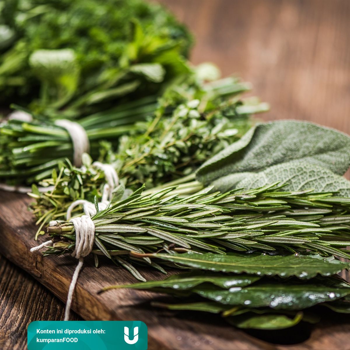 10 Jenis Dedaunan Aromatik Yang Sering Digunakan Untuk Masakan Kumparan Com