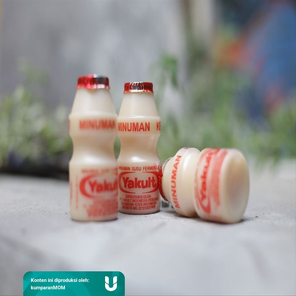 Apakah Ibu Hamil B Minum Yakult Kumparan  Apakah Ibu Hamil B Minum Yakult Kumparan