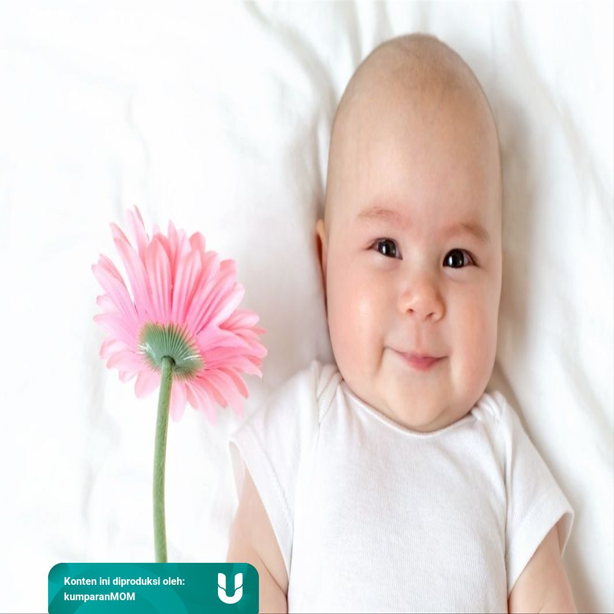 Nama Bayi Perempuan Yang Terinspirasi Dari Nama Bunga Huruf H Z Kumparan Com