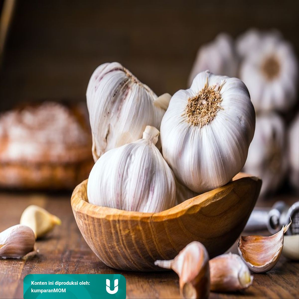 Bkah Ibu Menyusui Makan Bawang Putih Kumparan 