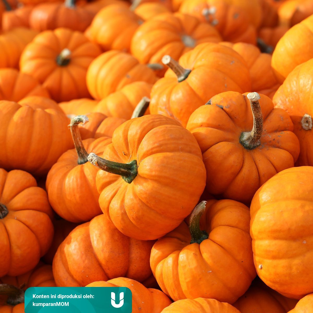 Tips Olah Labu Kuning Jadi Mpasi Bayi Yang Lezat Kumparan 