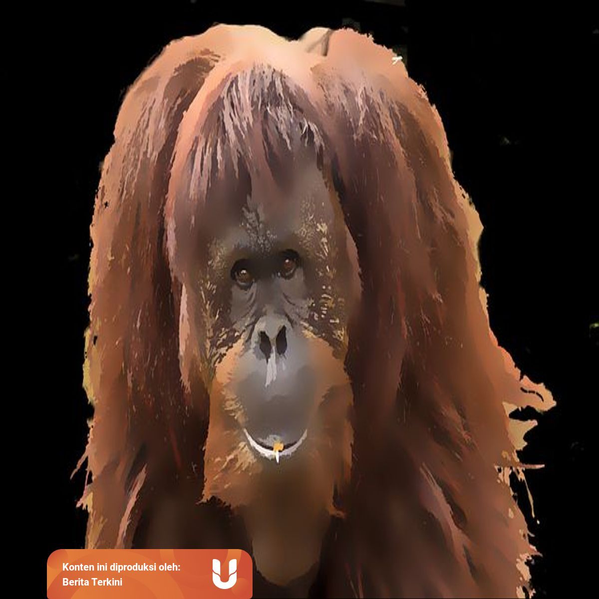 Alasan Mengapa Kita Perlu Melestarikan Hewan Langka Kumparan Com