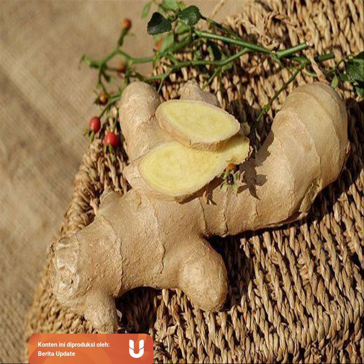 Contoh Perkembangbiakan Dengan Vegetatif Pada Tumbuhan Kumparan Com