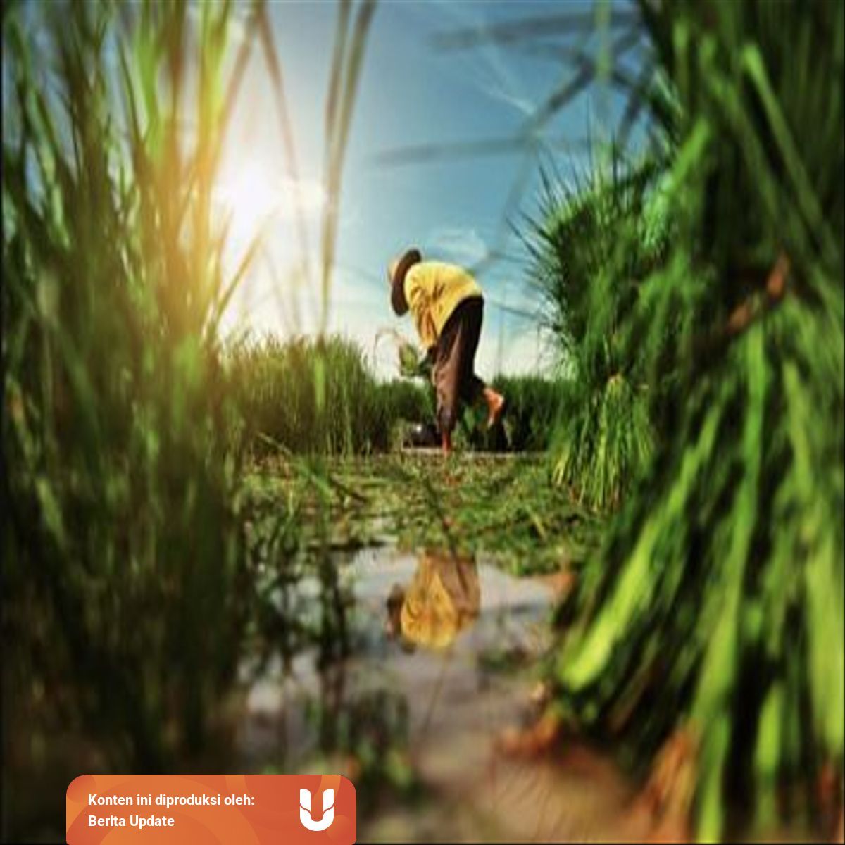 Jenis Jenis Usaha Ekonomi Masyarakat Yang Cocok Di Indonesia Kumparan Com