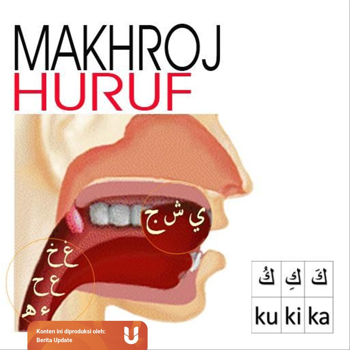 Belajar Makhorijul Huruf Hijaiyah Yang Harus Dipahami Kumparan Com