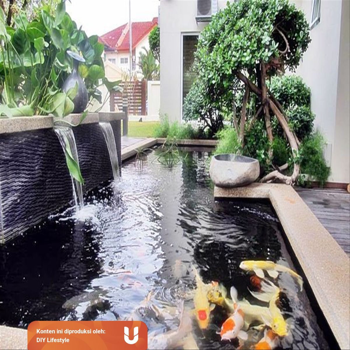 Manfaatkan Teras Rumahmu Dengan Diy Kolam Ikan Koi Minimalis Kumparan Com