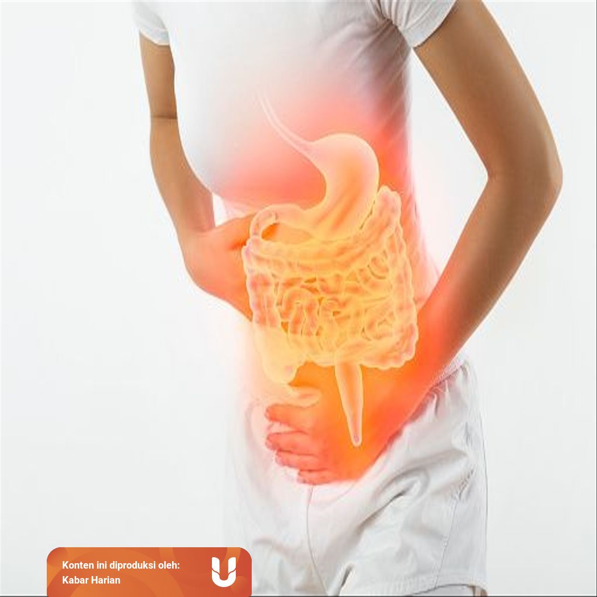 Apa yang terjadi apabila salah satu organ dalam sistem pencernaan tidak berfungsi dengan baik