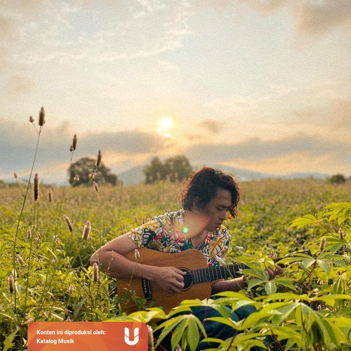 Lirik Lagu Dan Chord Kalimba Melukis Senja Budi Doremi Kumparan Com