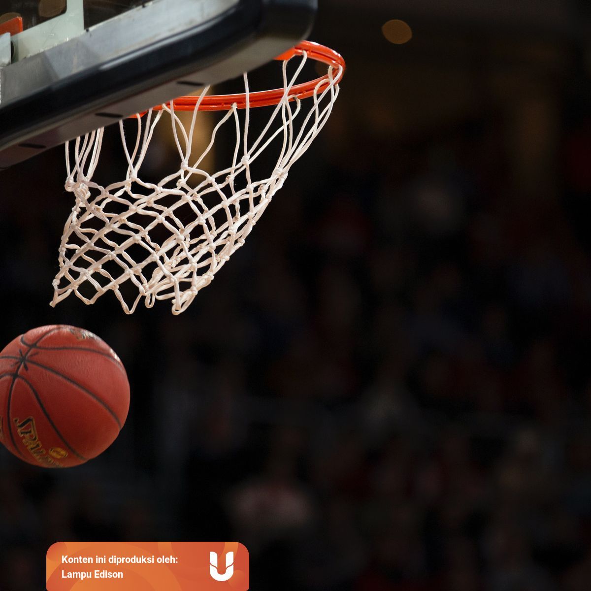 Pengaruh Gaya Gravitasi Pada Tubuh Manusia Bagian 1 Kumparan Com