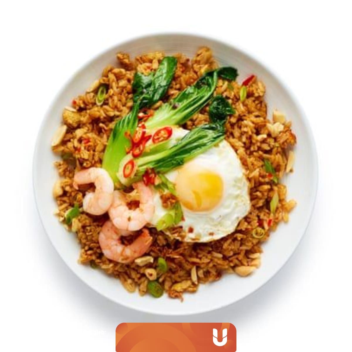 resepi ayam berempah indonesia   52