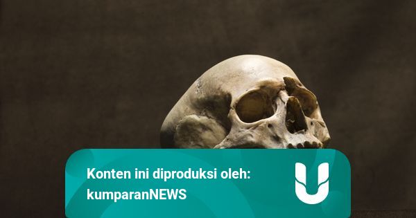 Heboh Arisan Sosialita Berkedok Tumbal Manusia Viral di ...