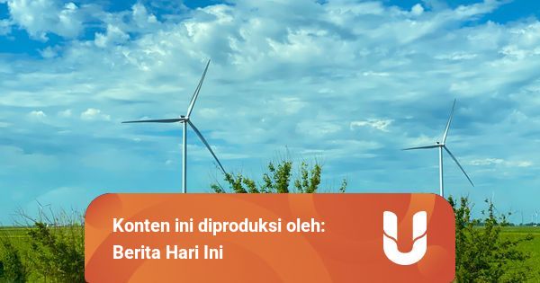 5 Contoh Sumber Daya Alam yang Dapat Diperbaharui